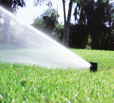 Underground lawn sprinkler installation in Vaughan